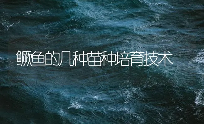 鳜鱼的几种苗种培育技术 | 海水养殖技术