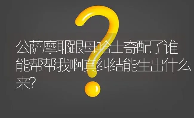 公萨摩耶跟母哈士奇配了谁能帮帮我啊真纠结能生出什么来？ | 动物养殖问答