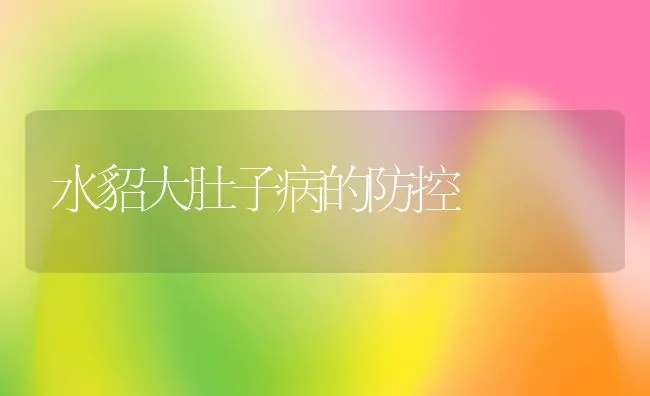 水貂大肚子病的防控 | 水产养殖知识