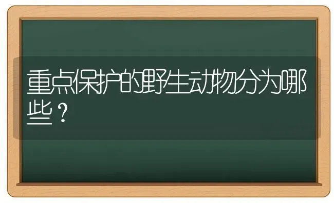 重点保护的野生动物分为哪些？ | 动物养殖问答