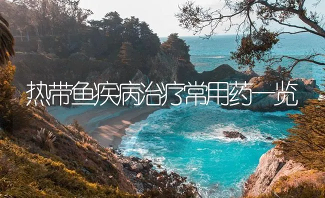 热带鱼疾病治疗常用药一览 | 海水养殖技术