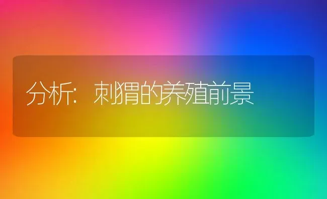 分析:刺猬的养殖前景 | 动物养殖百科