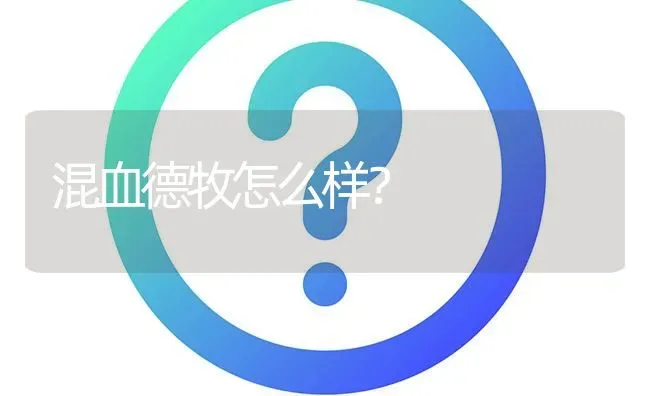 混血德牧怎么样？ | 动物养殖问答