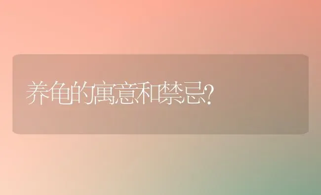 养龟的寓意和禁忌？ | 动物养殖问答