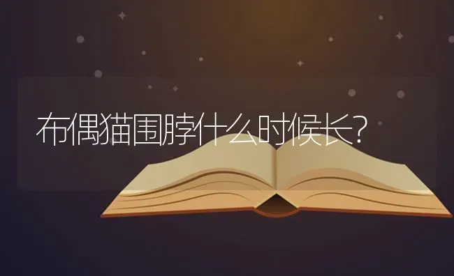 布偶猫围脖什么时候长？ | 动物养殖问答