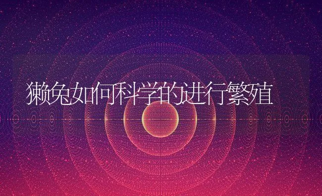 獭兔如何科学的进行繁殖 | 水产养殖知识