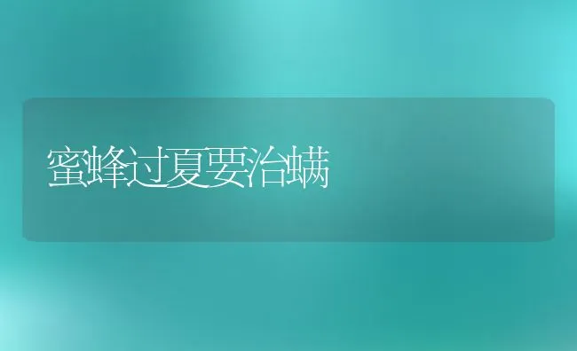 蜜蜂过夏要治螨 | 动物养殖学堂