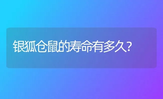 银狐仓鼠的寿命有多久？ | 动物养殖问答