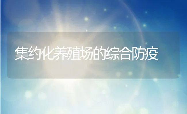 集约化养殖场的综合防疫 | 动物养殖饲料