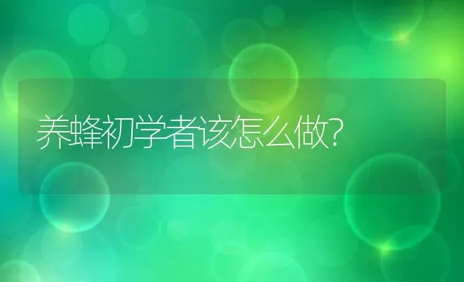 养蜂初学者该怎么做？ | 动物养殖教程