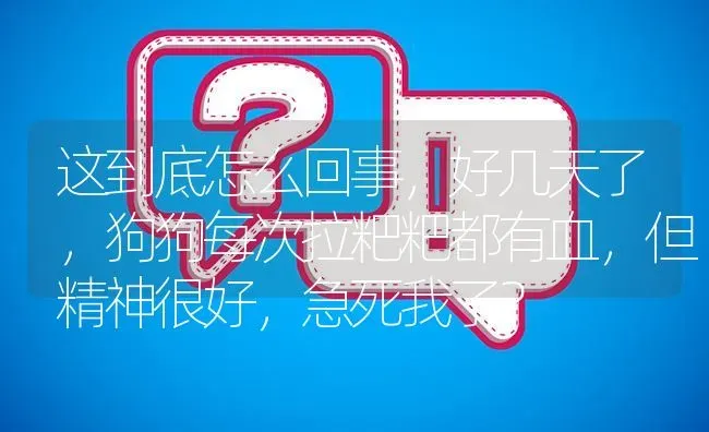 这到底怎么回事，好几天了，狗狗每次拉粑粑都有血，但精神很好，急死我了？ | 动物养殖问答