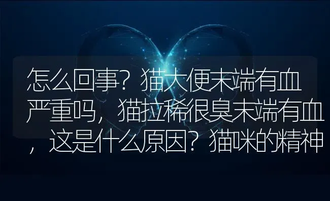 怎么回事？猫大便末端有血严重吗，猫拉稀很臭末端有血，这是什么原因？猫咪的精神还好？ | 动物养殖问答