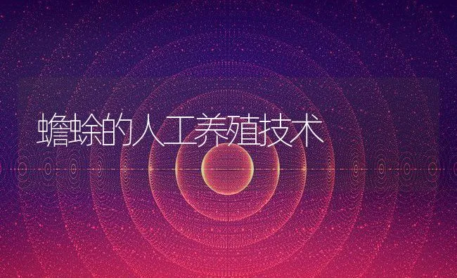 蟾蜍的人工养殖技术 | 动物养殖饲料