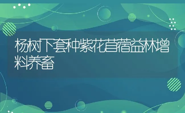 江苏南通市水产养殖示范户陆建辉的大闸蟹寄养新方法 | 动物养殖饲料