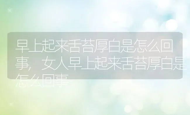 早上起来舌苔厚白是怎么回事,女人早上起来舌苔厚白是怎么回事 | 宠物百科知识
