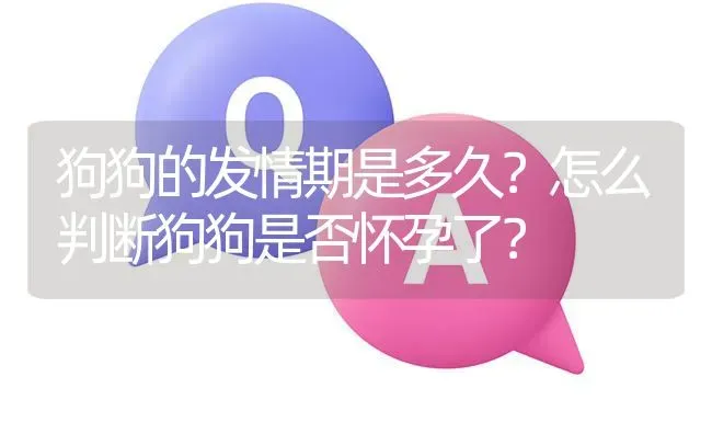 狗狗的发情期是多久？怎么判断狗狗是否怀孕了？ | 动物养殖问答