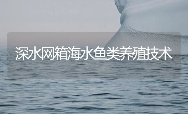 深水网箱海水鱼类养殖技术 | 海水养殖技术