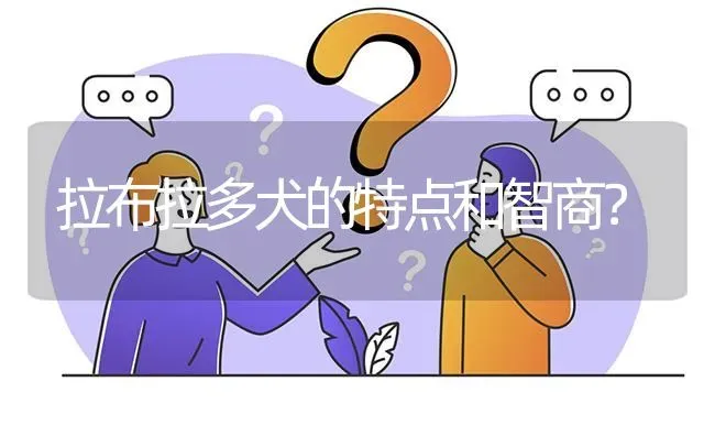 拉布拉多犬的特点和智商？ | 动物养殖问答