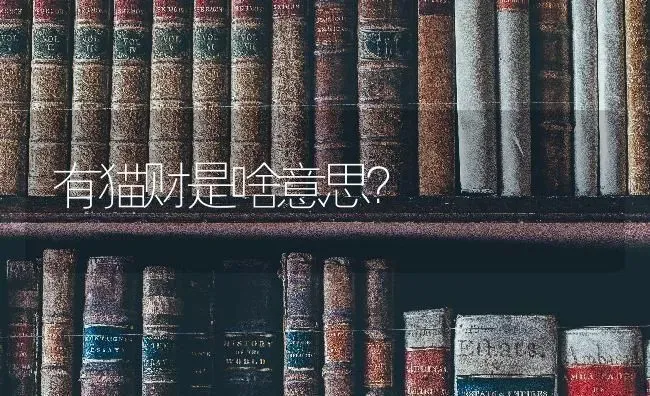 有猫财是啥意思？ | 动物养殖问答