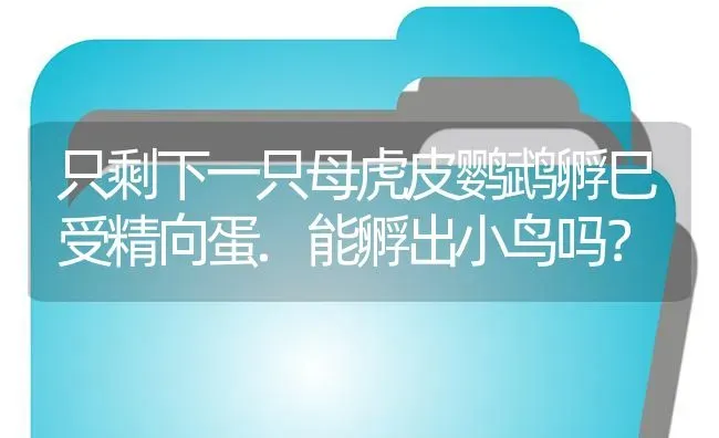 只剩下一只母虎皮鹦鹉孵巳受精向蛋.能孵出小鸟吗？ | 鱼类宠物饲养