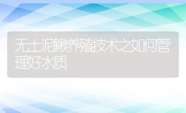 无土泥鳅养殖技术之如何管理好水质 | 水产养殖知识