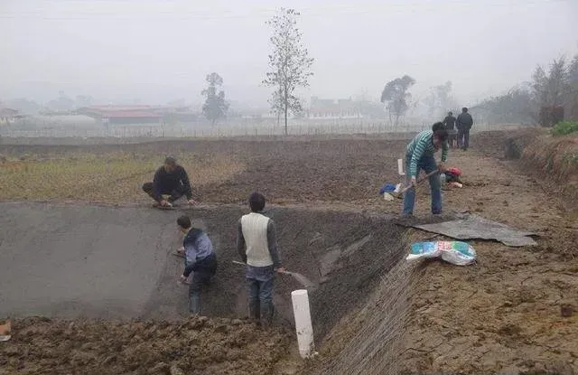 泥鳅养殖的池塘要怎么建？