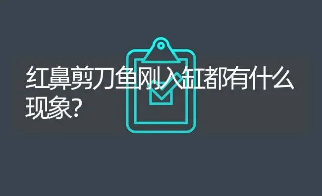 红鼻剪刀鱼刚入缸都有什么现象？ | 鱼类宠物饲养