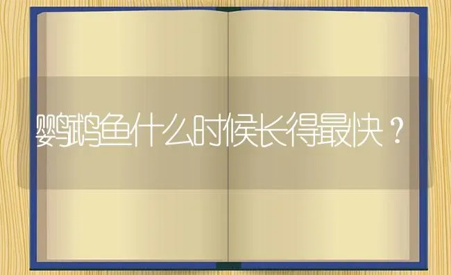 鹦鹉鱼什么时候长得最快？ | 鱼类宠物饲养