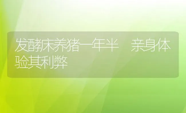 发酵床养猪一年半 亲身体验其利弊 | 动物养殖饲料