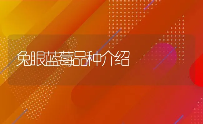 兔眼蓝莓品种介绍 | 动物养殖学堂