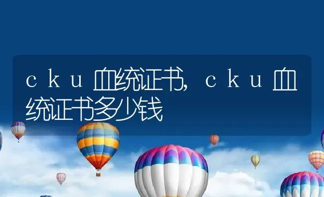 cku血统证书,cku血统证书多少钱 | 宠物百科知识