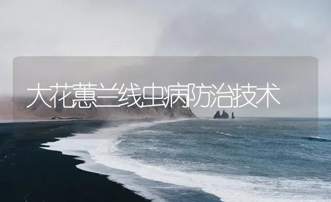 大花蕙兰线虫病防治技术 | 海水养殖技术