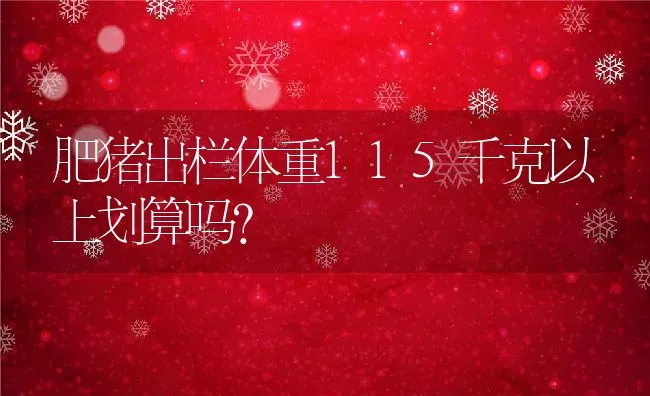 肥猪出栏体重115千克以上划算吗？ | 动物养殖饲料