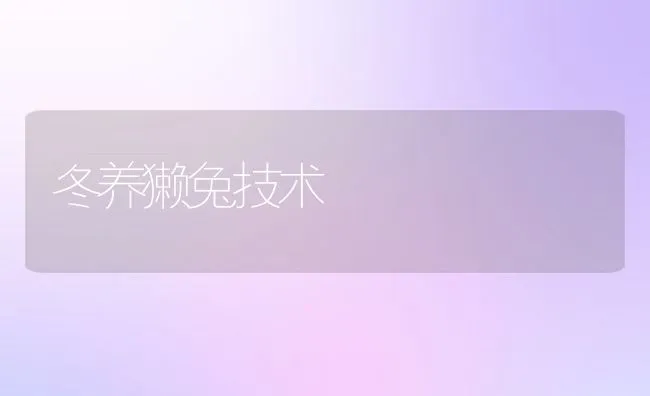 科学的饲养小龙虾 | 海水养殖技术