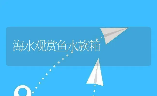 海水观赏鱼水族箱 | 动物养殖教程