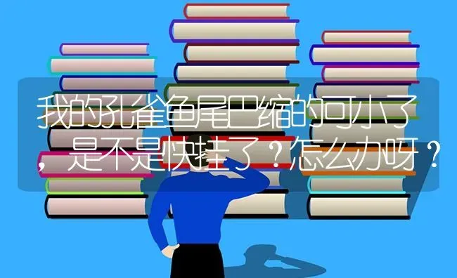 我的孔雀鱼尾巴缩的可小了，是不是快挂了？怎么办呀？ | 鱼类宠物饲养