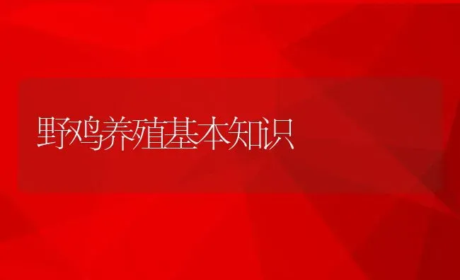 野鸡养殖基本知识 | 动物养殖教程