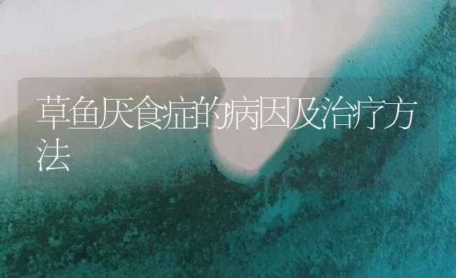 草鱼厌食症的病因及治疗方法 | 海水养殖技术