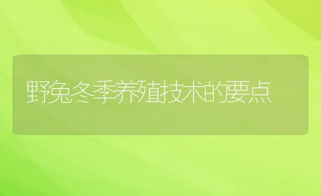 野兔冬季养殖技术的要点 | 水产养殖知识