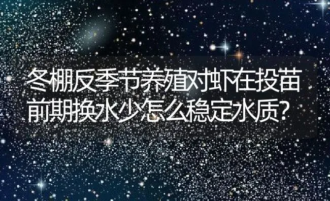 冬棚反季节养殖对虾在投苗前期换水少怎么稳定水质？ | 动物养殖百科