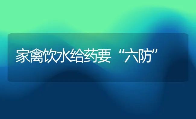 家禽饮水给药要“六防” | 动物养殖饲料