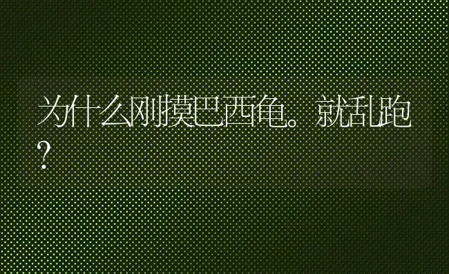 狗得大脑炎是马上死亡吗?之前会有什么症状吗?我家狗狗今天凌晨突然死亡，之前好好的？ | 动物养殖问答