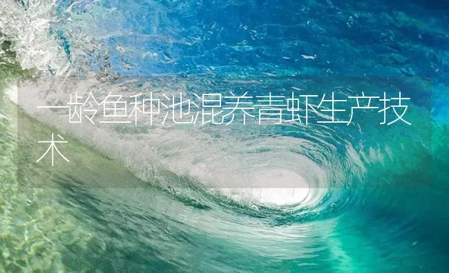 一龄鱼种池混养青虾生产技术 | 海水养殖技术