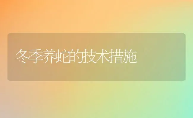 冬季养蛇的技术措施 | 动物养殖百科