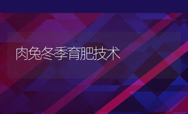 肉兔冬季育肥技术 | 动物养殖饲料