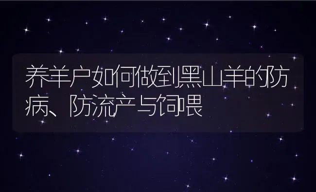 养羊户如何做到黑山羊的防病、防流产与饲喂 | 动物养殖教程