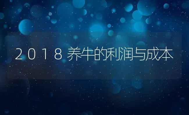 2018养牛的利润与成本 | 动物养殖百科