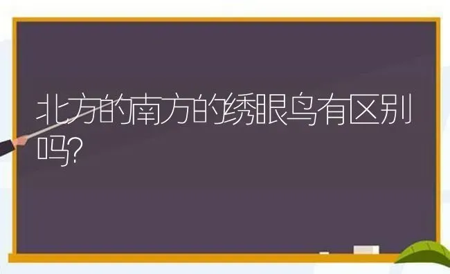 矮脚猫可以跳多高的猫？ | 动物养殖问答