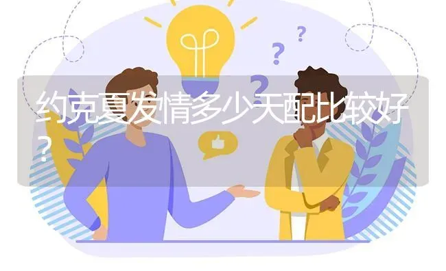 约克夏发情多少天配比较好？ | 动物养殖问答