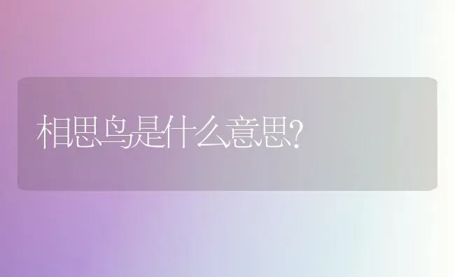 相思鸟是什么意思？ | 动物养殖问答